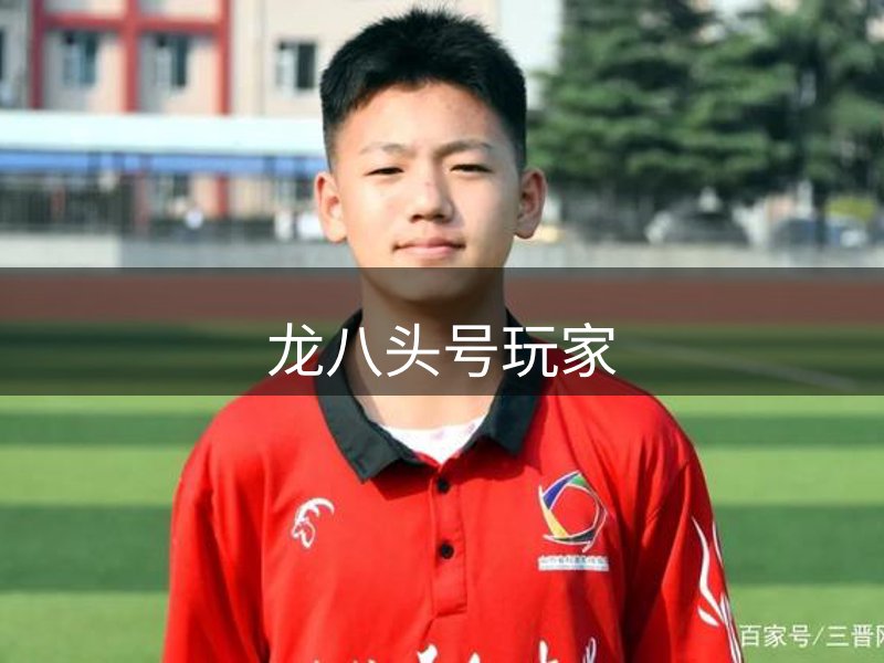 龙八(头号玩家)唯一官方网站