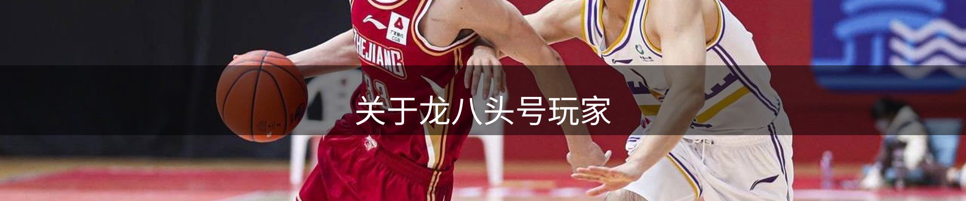 关于龙八头号玩家